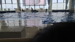 アクアワールド茨城県大洗水族館に投稿された画像（2026/5/24）