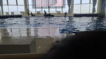 アクアワールド茨城県大洗水族館に投稿された画像（2026/5/24）