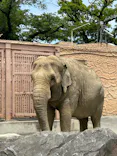 日立市かみね動物園に投稿された画像（2026/5/24）