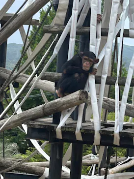 日立市かみね動物園に投稿された画像（2026/5/24）