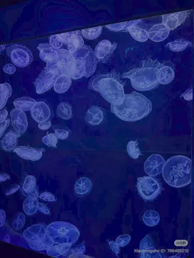 沖縄美ら海水族館に投稿された画像（2026/5/24）