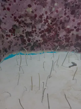 沖縄美ら海水族館に投稿された画像（2026/5/24）