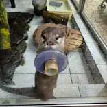 下田海中水族館に投稿された画像（2026/5/24）