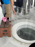 しながわ水族館に投稿された画像（2026/5/24）