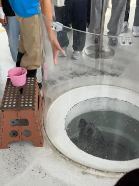 しながわ水族館に投稿された画像（2026/5/24）
