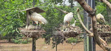 多摩動物公園に投稿された画像（2026/5/24）