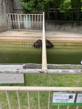 名古屋市東山動植物園に投稿された画像（2026/5/24）
