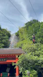 伊勢忍者キングダムに投稿された画像（2026/5/24）
