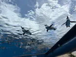 サンシャイン水族館に投稿された画像（2026/5/24）