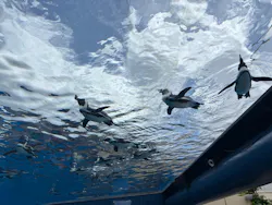 サンシャイン水族館に投稿された画像（2026/5/24）