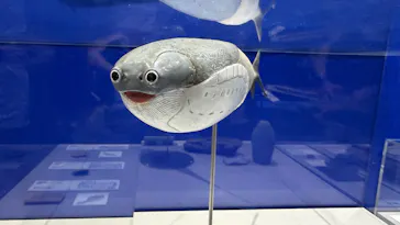 大絶滅展ー生命史のビッグファイブ（名古屋会場）に投稿された画像（2026/5/24）
