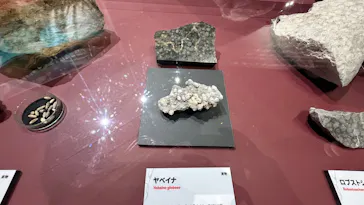 大絶滅展ー生命史のビッグファイブ（名古屋会場）に投稿された画像（2026/5/24）