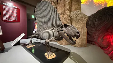 大絶滅展ー生命史のビッグファイブ（名古屋会場）に投稿された画像（2026/5/24）