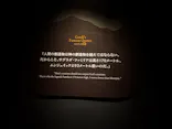 NAKED meets ガウディ展【大阪】に投稿された画像（2026/5/24）