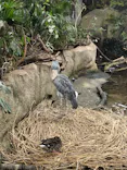那須どうぶつ王国に投稿された画像（2026/5/25）