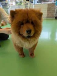 つくばわんわんランドに投稿された画像（2026/5/24）