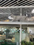 NIFREL（ニフレル）に投稿された画像（2026/5/25）