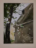 東京都美術館開館100周年記念　アンドリュー・ワイエス展に投稿された画像（2026/5/25）