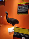 特別展「超危険生物展　科学で挑む生き物の本気」に投稿された画像（2026/5/25）