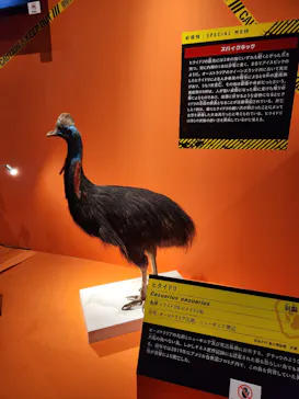 特別展「超危険生物展　科学で挑む生き物の本気」に投稿された画像（2026/5/24）