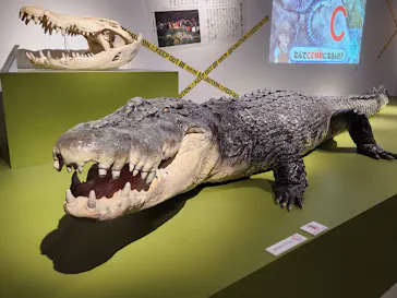 特別展「超危険生物展　科学で挑む生き物の本気」に投稿された画像（2026/5/24）