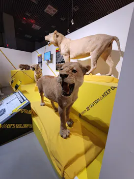 特別展「超危険生物展　科学で挑む生き物の本気」に投稿された画像（2026/5/24）