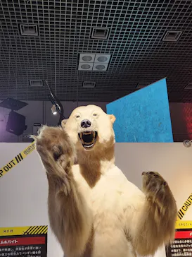 特別展「超危険生物展　科学で挑む生き物の本気」に投稿された画像（2026/5/24）