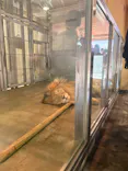天王寺動物園に投稿された画像（2026/5/25）