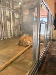 天王寺動物園に投稿された画像（2026/5/24）