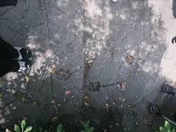 天王寺動物園に投稿された画像（2026/5/24）