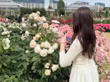 京成バラ園に投稿された画像（2026/5/25）