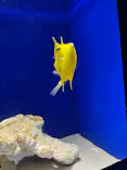 サンシャイン水族館に投稿された画像（2026/5/25）