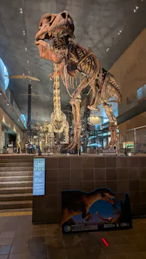 北九州市立自然史・歴史博物館（いのちのたび博物館）に投稿された画像（2026/5/25）