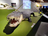 特別展「超危険生物展　科学で挑む生き物の本気」に投稿された画像（2026/5/25）