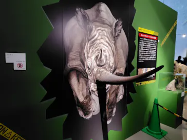特別展「超危険生物展　科学で挑む生き物の本気」に投稿された画像（2026/5/25）