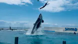 鴨川シーワールドに投稿された画像（2026/5/25）