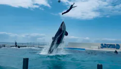 鴨川シーワールドに投稿された画像（2026/5/25）
