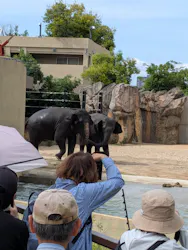 天王寺動物園に投稿された画像（2026/5/25）