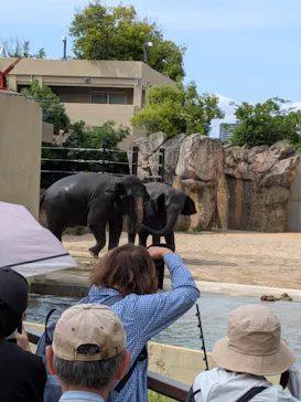 天王寺動物園に投稿された画像（2026/5/25）