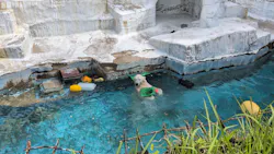 天王寺動物園に投稿された画像（2026/5/25）
