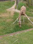 千葉市動物公園に投稿された画像（2026/5/25）