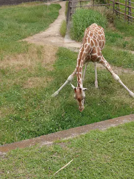 千葉市動物公園に投稿された画像（2026/5/25）