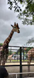 宇都宮動物園に投稿された画像（2026/5/25）