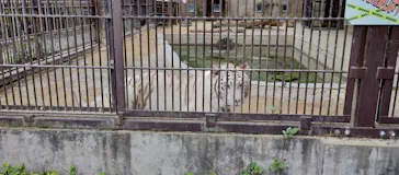 宇都宮動物園に投稿された画像（2026/5/25）