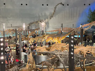 福井県立恐竜博物館に投稿された画像（2026/5/25）