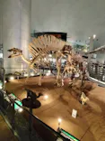 福井県立恐竜博物館に投稿された画像（2026/5/25）