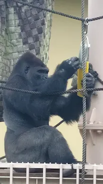 名古屋市東山動植物園に投稿された画像（2026/5/25）