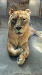 日立市かみね動物園に投稿された画像（2026/5/25）
