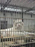 宇都宮動物園に投稿された画像（2026/5/25）