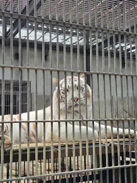 宇都宮動物園に投稿された画像（2026/5/25）
